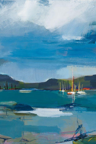 Coastal Display II Black Ornate Wood Framed Art Print with Double Matting by Fitsimmons, A