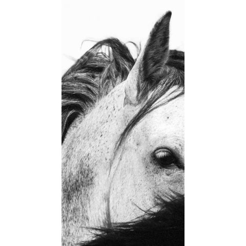 Wild Whispers II Gold Ornate Wood Framed Art Print with Double Matting by Corpeny, Peggy