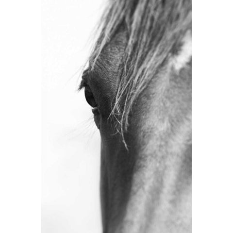 Wild Whispers II Gold Ornate Wood Framed Art Print with Double Matting by Corpeny, Peggy