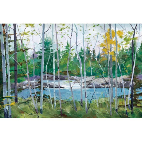 Oxtounge Rapids White Modern Wood Framed Art Print by Forsythe, Graham