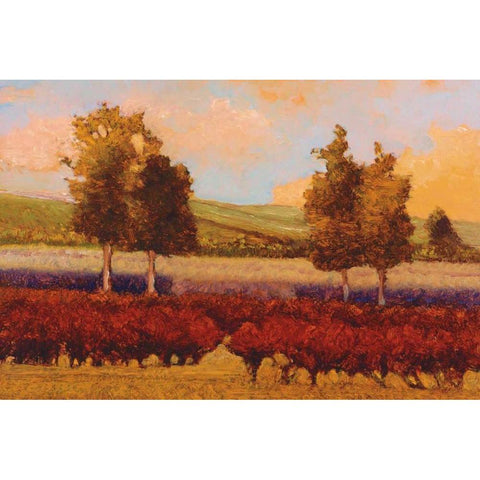 St. Pierre White Modern Wood Framed Art Print by Lovelace, Kent