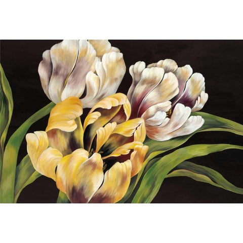 Holland Calling White Modern Wood Framed Art Print by Mulder, Sarah