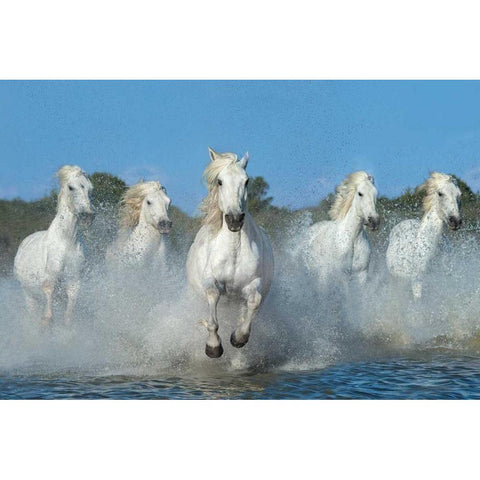 The Beautiful Five Black Modern Wood Framed Art Print with Double Matting by Ortega, Xavier