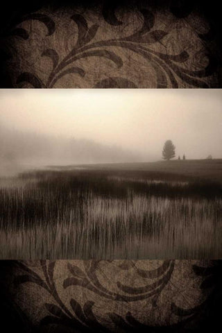 Misty Morning White Modern Wood Framed Art Print with Double Matting by Pahl, Janel