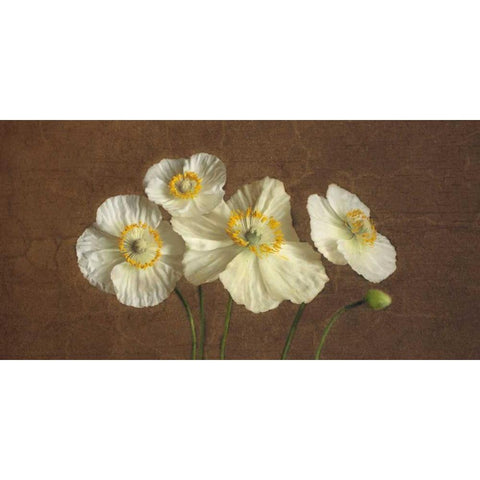 Precious Poppies White Modern Wood Framed Art Print by Pahl, Janel