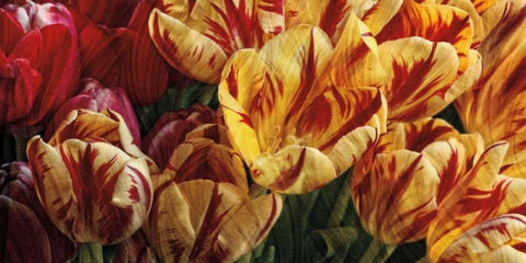 Floral Tapestry White Modern Wood Framed Art Print with Double Matting by Pahl, Janel