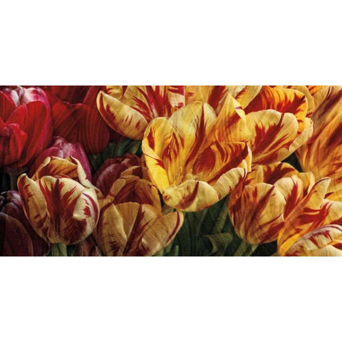 Floral Tapestry White Modern Wood Framed Art Print by Pahl, Janel