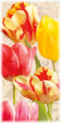 Glowing Tulips I Black Ornate Wood Framed Art Print with Double Matting by Pahl, Janel