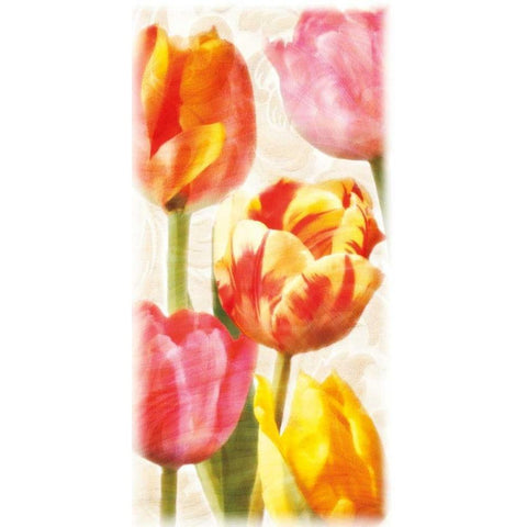 Glowing Tulips II White Modern Wood Framed Art Print by Pahl, Janel