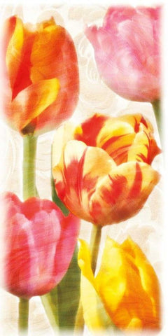 Glowing Tulips II White Modern Wood Framed Art Print with Double Matting by Pahl, Janel