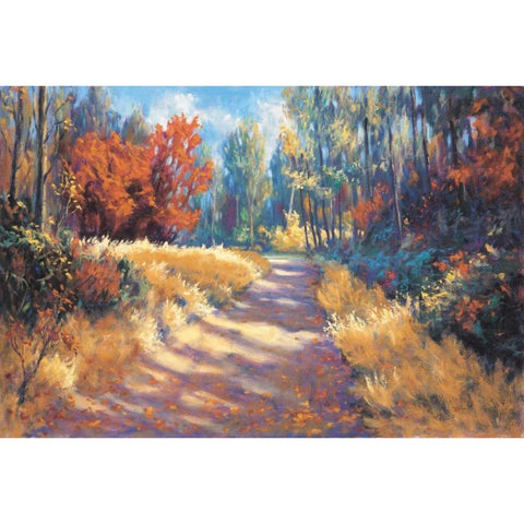 Early Autumn Trail White Modern Wood Framed Art Print by McAdam, Bruce