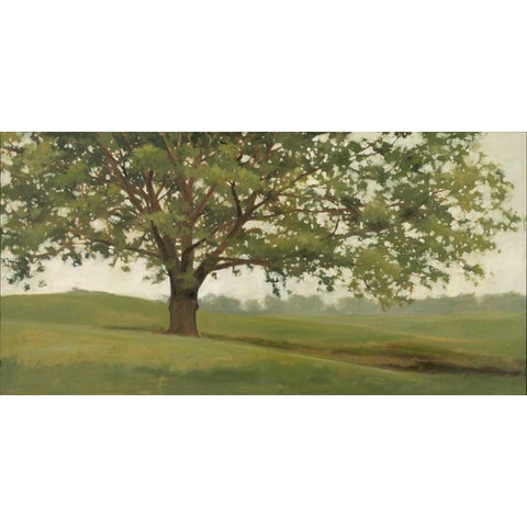 Wisdom Grows White Modern Wood Framed Art Print by Lightell, Megan