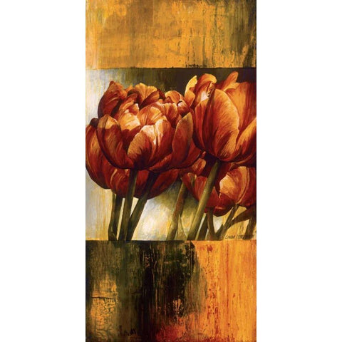 Floral Radiance I White Modern Wood Framed Art Print by Thompson, Linda