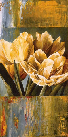 Floral Radiance II White Modern Wood Framed Art Print with Double Matting by Thompson, Linda