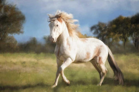 Liberty Dance White Modern Wood Framed Art Print with Double Matting by Caro, Wendy