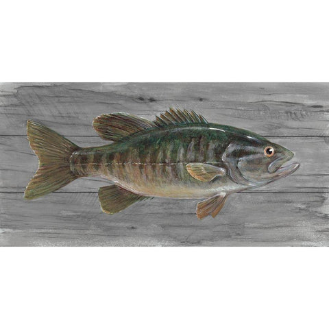 Clear Water Beauty Black Modern Wood Framed Art Print by Fisk, Arnie