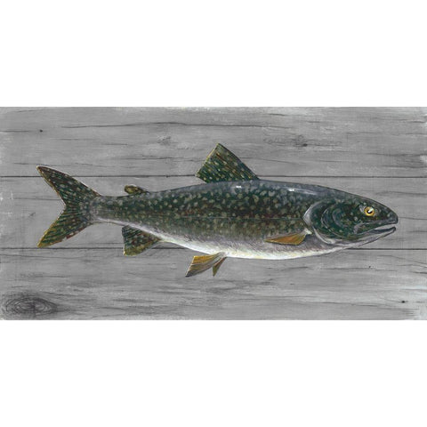 Cold Lake Beauty Black Modern Wood Framed Art Print by Fisk, Arnie