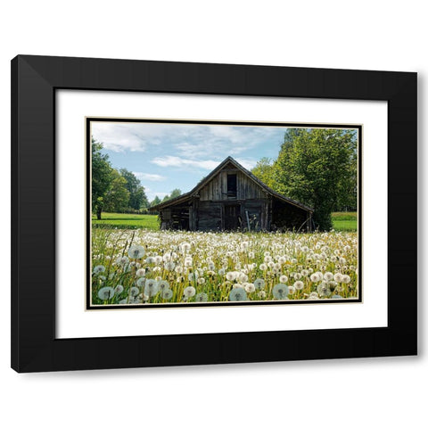 Barn 4 Black Modern Wood Framed Art Print with Double Matting by Lee, Rachel