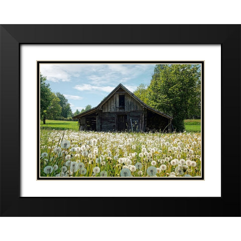 Barn 4 Black Modern Wood Framed Art Print with Double Matting by Lee, Rachel