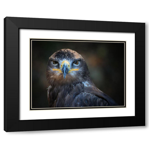 Bird 20 Black Modern Wood Framed Art Print with Double Matting by Lee, Rachel