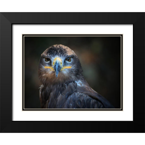 Bird 20 Black Modern Wood Framed Art Print with Double Matting by Lee, Rachel