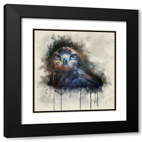Bird 20 Watercolor Black Modern Wood Framed Art Print with Double Matting by Lee, Rachel
