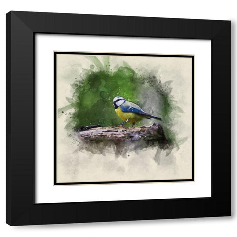 Bird 22 Watercolor Black Modern Wood Framed Art Print with Double Matting by Lee, Rachel