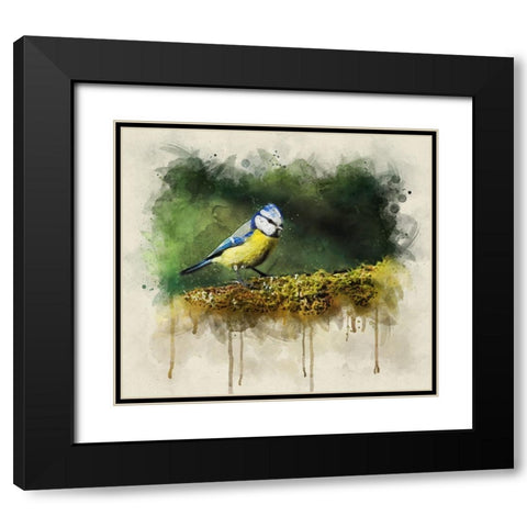 Bird 3 Watercolor Black Modern Wood Framed Art Print with Double Matting by Lee, Rachel