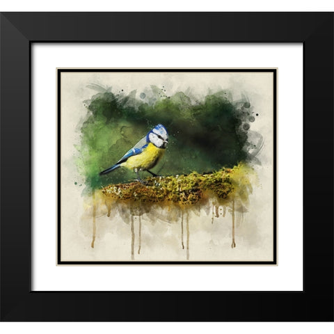 Bird 3 Watercolor Black Modern Wood Framed Art Print with Double Matting by Lee, Rachel