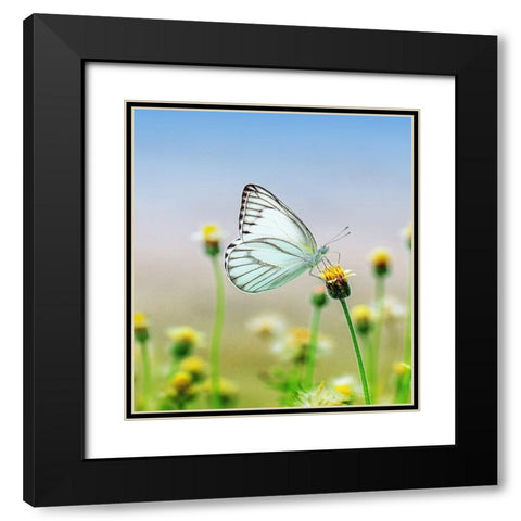 Butterfly 10 Dyptych Panel 1 Black Modern Wood Framed Art Print with Double Matting by Lee, Rachel