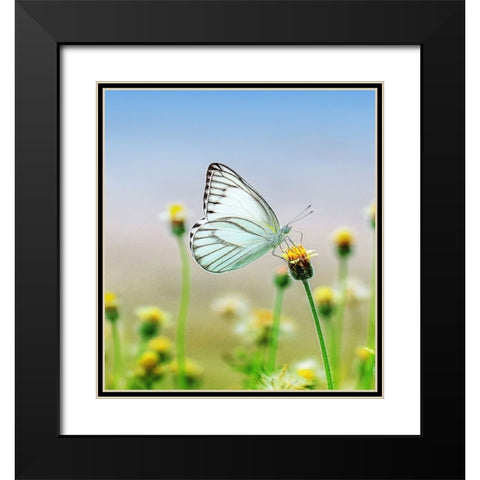 Butterfly 10 Dyptych Panel 1 Black Modern Wood Framed Art Print with Double Matting by Lee, Rachel