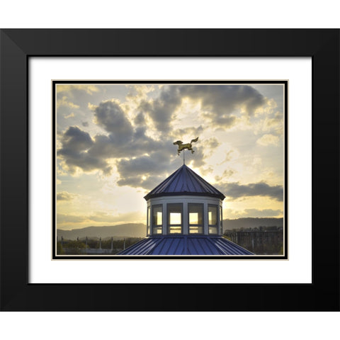 Carousel Last Light Black Modern Wood Framed Art Print with Double Matting by Lee, Rachel