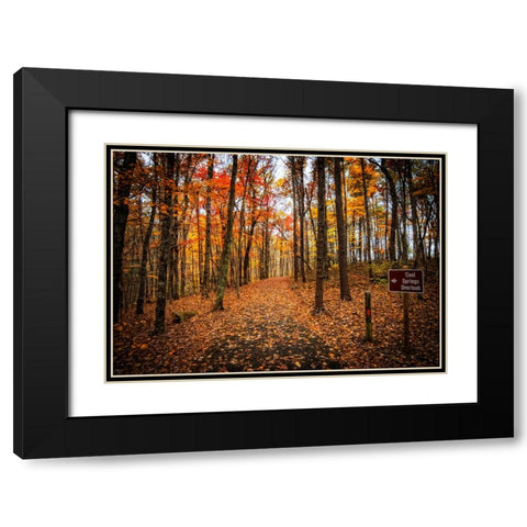 Cool Springs Overlook Black Modern Wood Framed Art Print with Double Matting by Lee, Rachel