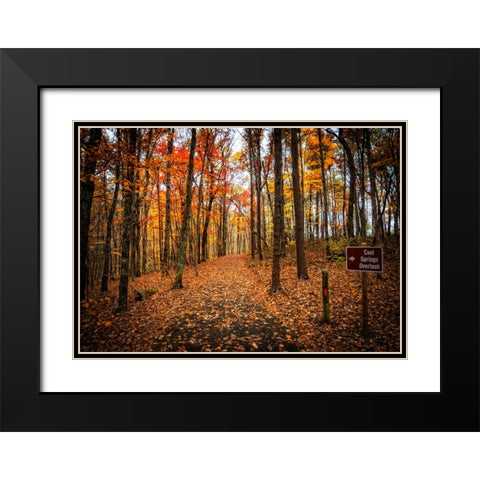 Cool Springs Overlook Black Modern Wood Framed Art Print with Double Matting by Lee, Rachel
