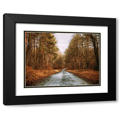 Country Road 16 Black Modern Wood Framed Art Print with Double Matting by Lee, Rachel