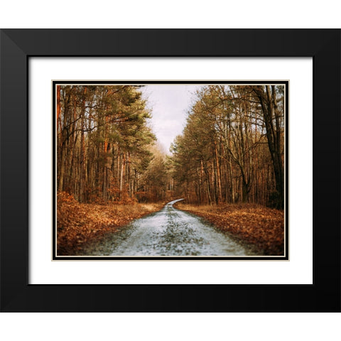 Country Road 16 Black Modern Wood Framed Art Print with Double Matting by Lee, Rachel