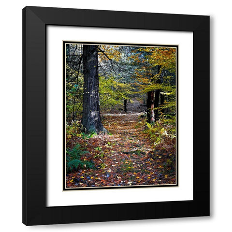 Country Road 19 Black Modern Wood Framed Art Print with Double Matting by Lee, Rachel