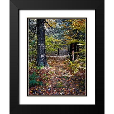 Country Road 19 Black Modern Wood Framed Art Print with Double Matting by Lee, Rachel