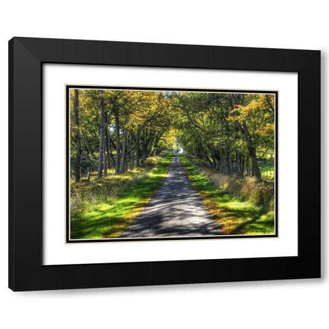Country Road 21 Black Modern Wood Framed Art Print with Double Matting by Lee, Rachel