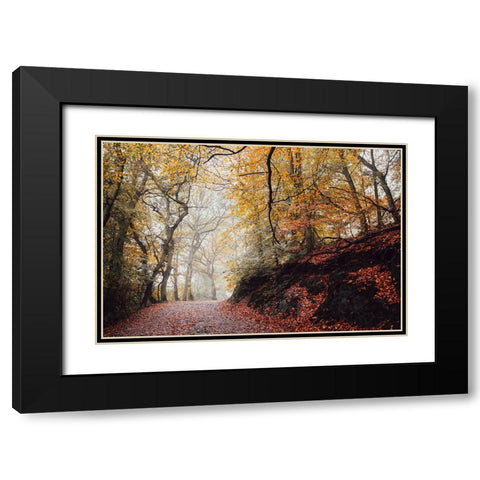 Country Road 4 Black Modern Wood Framed Art Print with Double Matting by Lee, Rachel