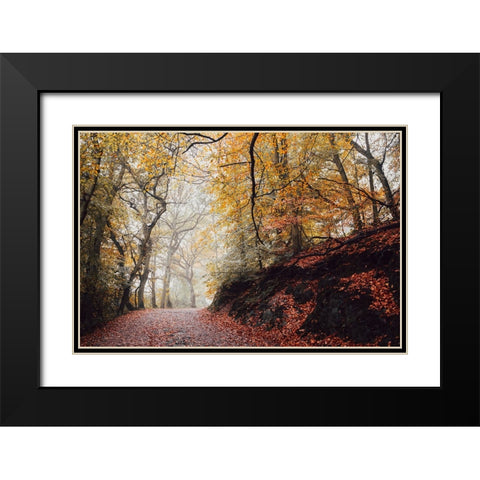 Country Road 4 Black Modern Wood Framed Art Print with Double Matting by Lee, Rachel