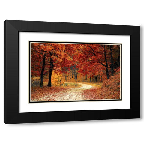 Country Road 9 Black Modern Wood Framed Art Print with Double Matting by Lee, Rachel