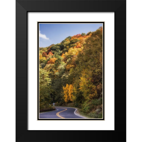Fall Bend Black Modern Wood Framed Art Print with Double Matting by Lee, Rachel