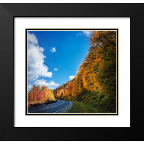 Fall Curve Black Modern Wood Framed Art Print with Double Matting by Lee, Rachel