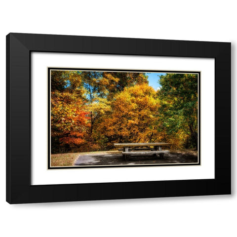 Fall Picnic Black Modern Wood Framed Art Print with Double Matting by Lee, Rachel
