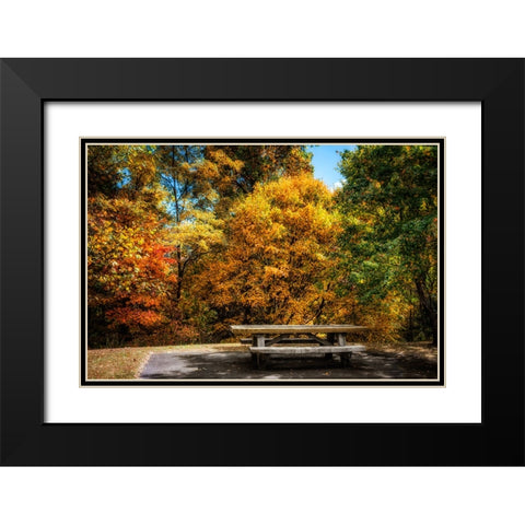 Fall Picnic Black Modern Wood Framed Art Print with Double Matting by Lee, Rachel