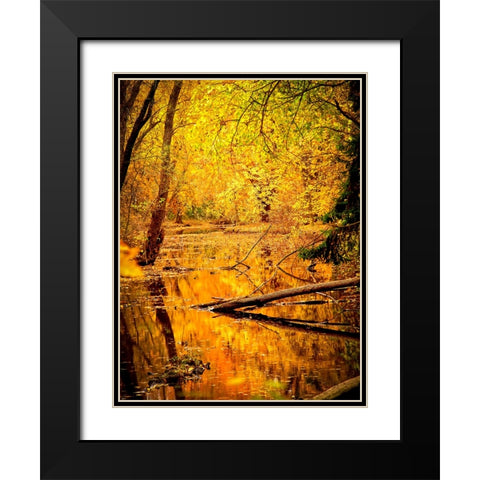 Fall Stream Black Modern Wood Framed Art Print with Double Matting by Lee, Rachel