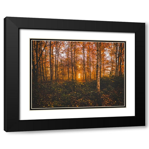 Fall Trees 12 Black Modern Wood Framed Art Print with Double Matting by Lee, Rachel