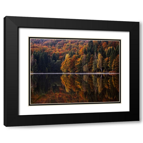 Fall Trees 13 Black Modern Wood Framed Art Print with Double Matting by Lee, Rachel