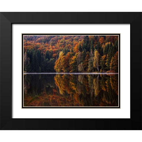 Fall Trees 13 Black Modern Wood Framed Art Print with Double Matting by Lee, Rachel